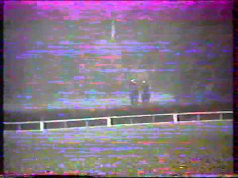 Velká pardubická 1985-Festival