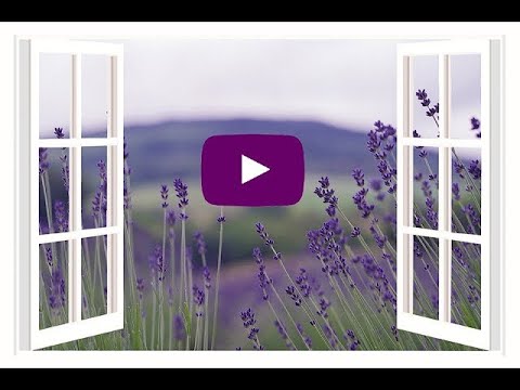 Webb TV: Tjänster, gåvorna och kallelsen ska prövas i församlingen.