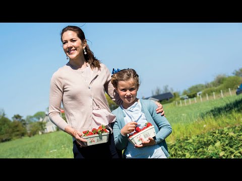 Prinsesse Isabellas første dag på jobbet
