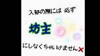 田中広輔 登場曲 逆転満塁ホームラン ハジ أغاني Mp3 مجانا