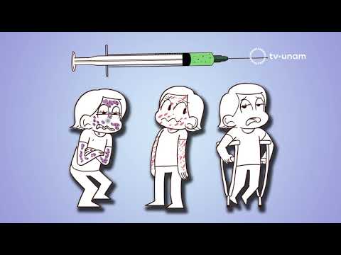 ¿Qué es una vacuna?