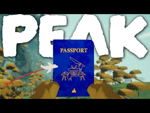 COMPLETE PEAK BEGINNER'S GUIDE (PEAK TIPS & TRICKS)