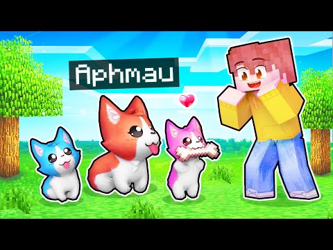 Aphmau - My Dog Had COLORED PUPPIES In Minecraft!
