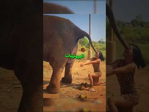 هل ستشرب هذا؟! 🤮