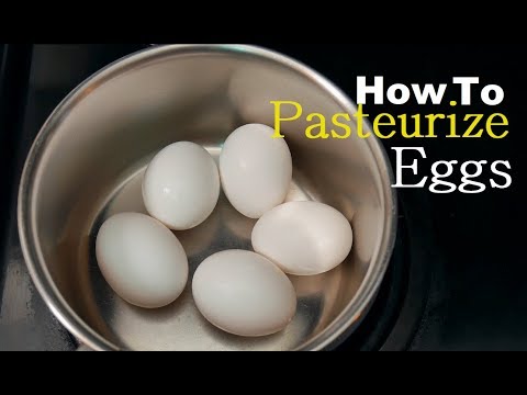 download lagu mp3 mp4 Pasteurized Eggs, download lagu Pasteurized Eggs gratis, unduh video klip Pasteurized Eggs