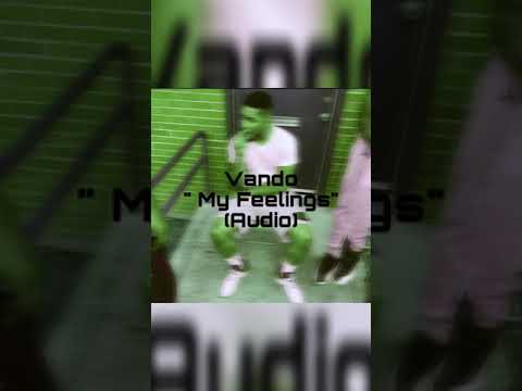 Vando “My Feelings”(Audio) (Prod.@therapcave)