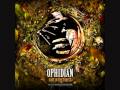 Ophidian - Lost in the Forest (Furyan remix) 