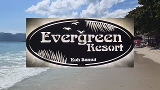 Top Beachfront Hotel in Chaweng Beach |  Evergreen Resort Koh Samui 🇹🇭