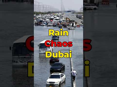 Dubai Rains Turn Dangerous: Delivery Rider Trapped in Deep Floodwaters