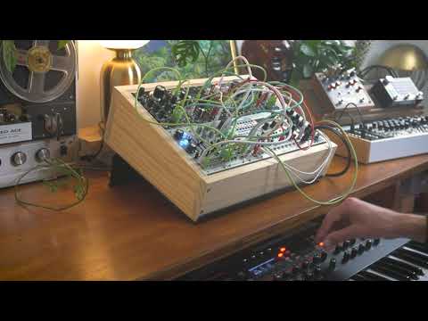 Deep Ambient Glitch with Prophet 12 & Modular Synth