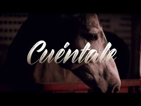 Cuéntale (PERREO 2030)