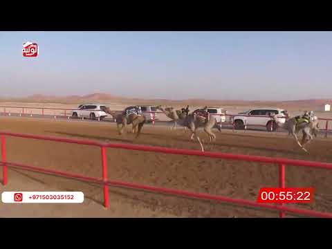  ش 16 (إختبار) لـ احمد محمد بن ناصر الدرعي 2:14:66 ، شارة الصندوق 2026/05/09 فطامين الرقيعات