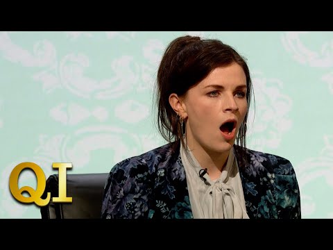 Are Elephants Any Good At Drawing? | QI