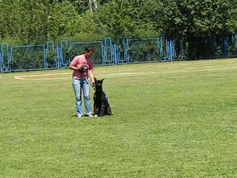 Nev Lemar Lukerya. Long attack.