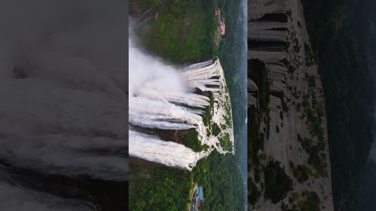 Jog falls during peak monsoon. #jogfalls #karnataka #monsoon