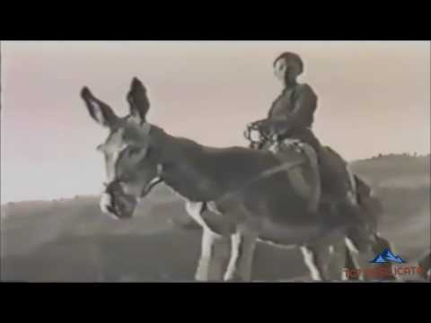 TG7 Basilica Memoria. La Spedizione in Lucania di Ernesto De Martino 1952