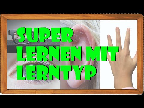 So lernst du richtig! - Lerntypen 2  |ElenAlina