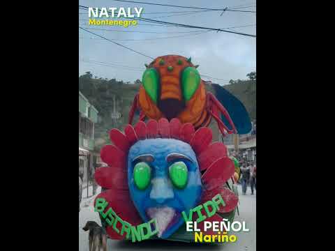 PROBLEMATICA PUBLICA EL PEÑOL NARIÑO