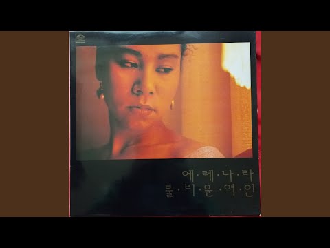 비닐장판위의 딱정벌레