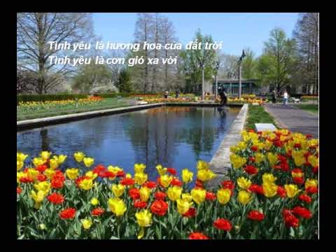 Đường tình yêu Sheet - Thanh Ngọc