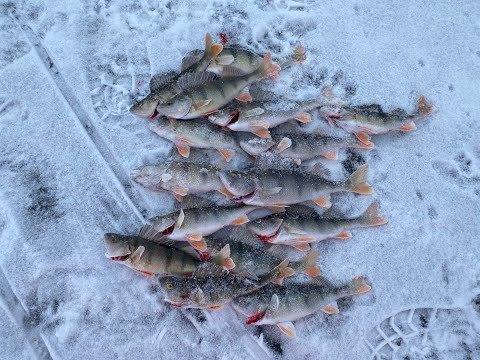 AHVENEN PILKINTÄÄ TASAPAINOPILKILLÄ | AMMATTILAISET JÄILLÄ!