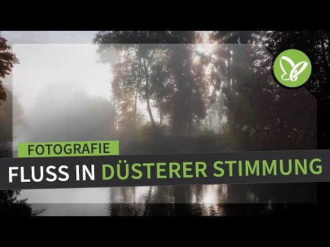 Herbst-Fotografie-Tutorial: Fluss in düsterer Stimmung