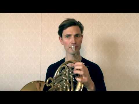 Tonen D på valthorn