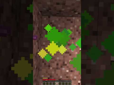 Многоразовый Тотем Бессмертия на #GW2 #shorts