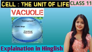 Vacuole | Cell Organelles Vacuole | Cell The Unit of Life | Class 11 Biology chapter 8