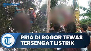 Bogor Hari Ini: Pria di Caringin Tewas Tersengat Listrik, Niat Ingin Ambil Buah Pala