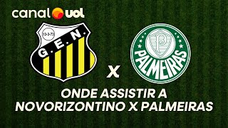 NOVORIZONTINO X PALMEIRAS: ONDE ASSISTIR À TRANSMISSÃO AO VIVO DO JOGO E HORÁRIO PELO PAULISTÃO
