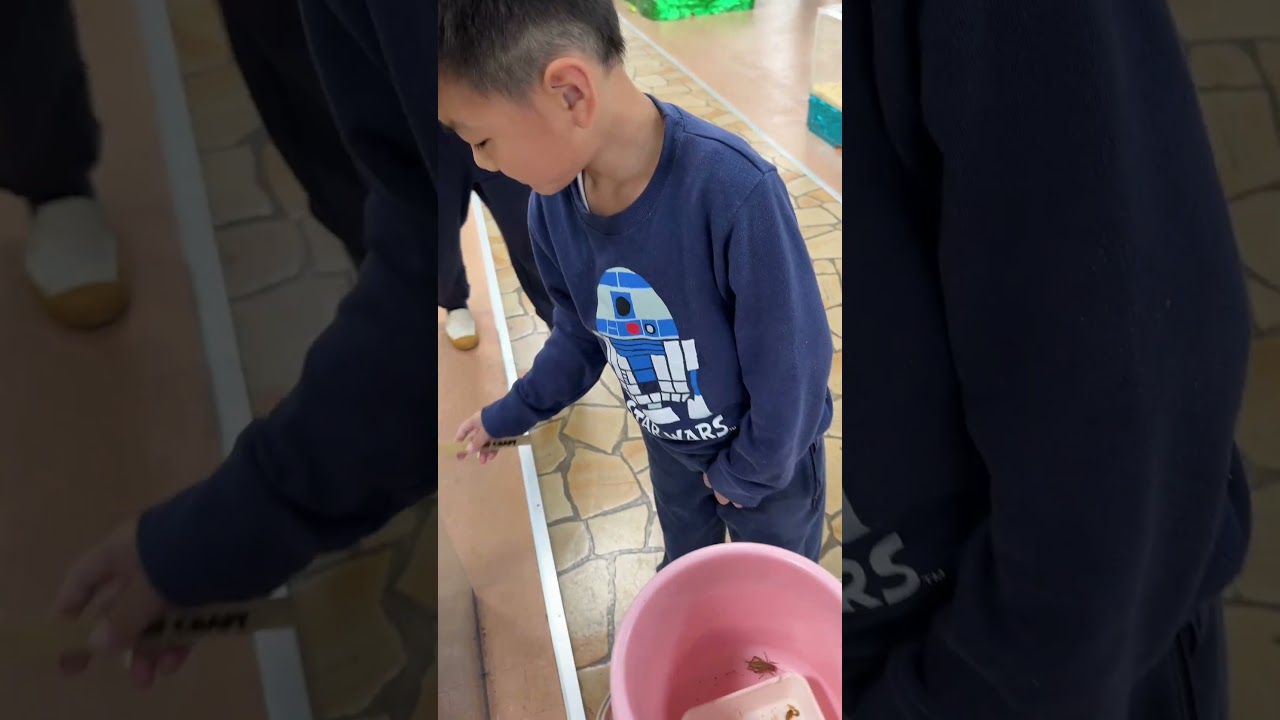 カエルにえさやり🐸