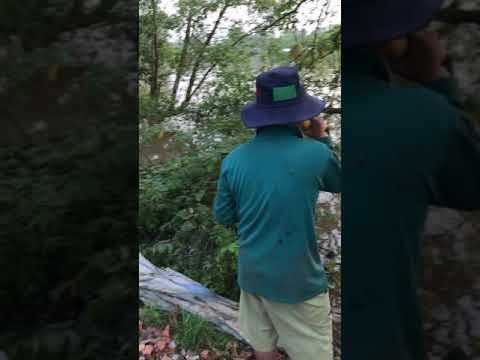 Phiên bản Cover Gọi Đò của chàng nông dân Miền Tây