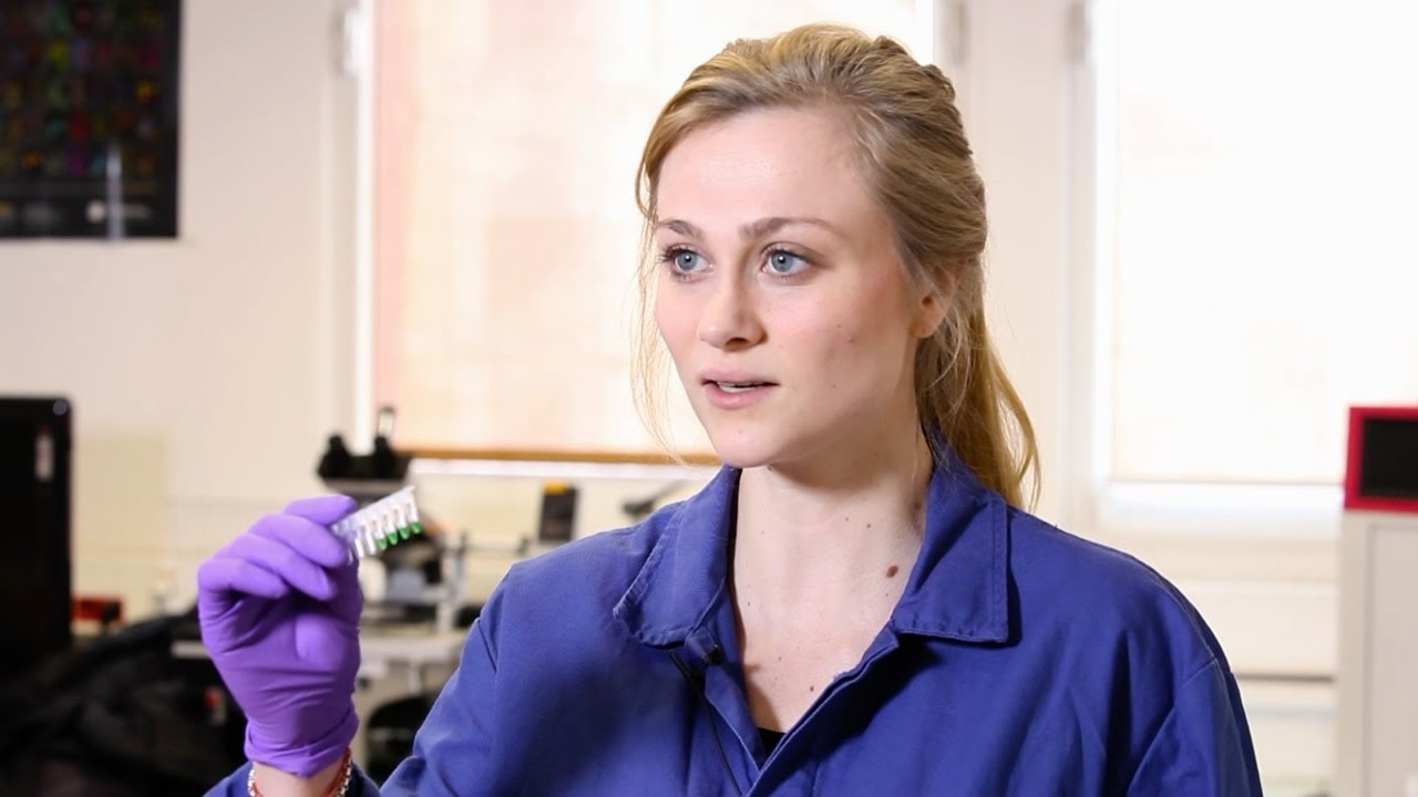 How to Perform a PCR Purification