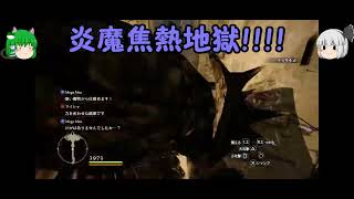 【ゆっくり実況　DRAGON'S DOGMA　DARK ARISEN】ロリ主人公って最強じゃない？番外編　第弐話