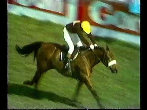 100 Greatest TV Moments 78 - Red Rum wins the Grand National for the third time, 1977