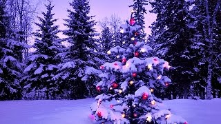 WE WISH YOU A MERRY CHRISTMAS MEDLEY - (Gunter Kallman Choir / Lyrics)