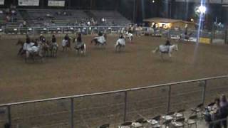Team9 - Riders Looking In video