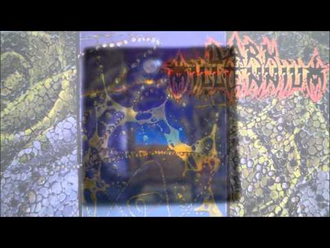 Below The Holy Fatherlands cover