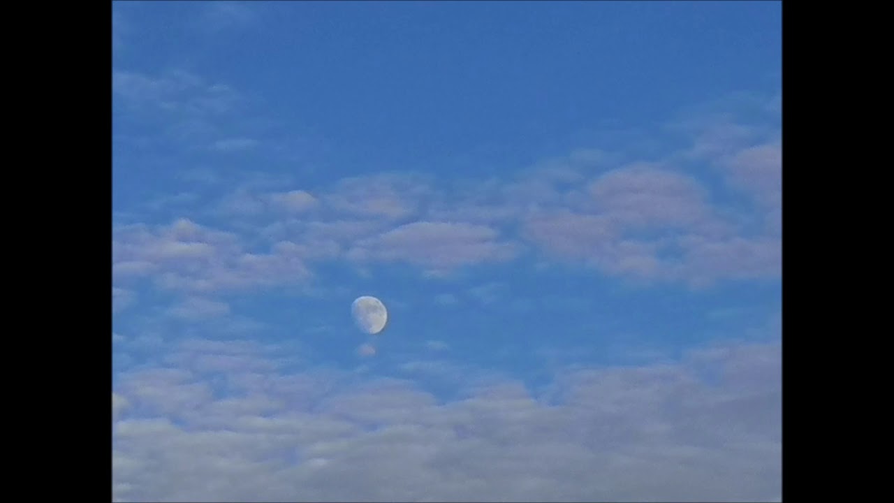 Rosario Prieto Ramón-6