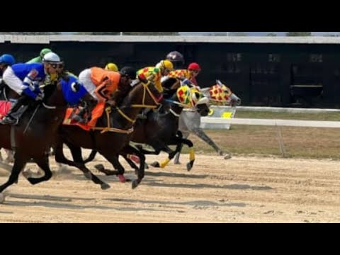 Javier Flores and the interviews with trainer H. Alayon and jockey J.D. Calicho for the Hinava.