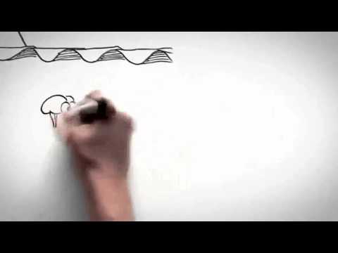 Explanatory video about Chronic Pain