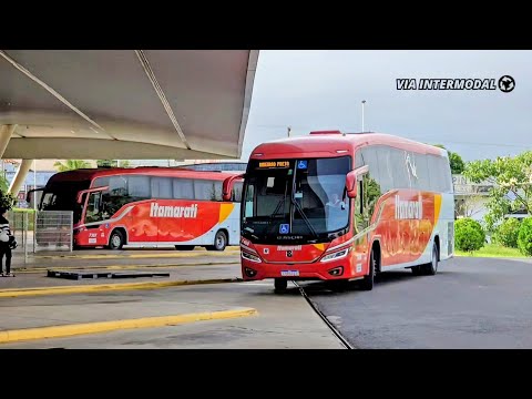 Movimentação de Ônibus na Rodoviária de Fernandópolis (SP) | 2026 