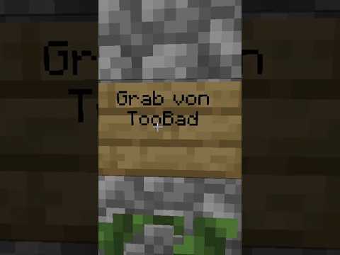 Einfach 1234 iq😂 #minecraftshorts #lustig #minecraftaber