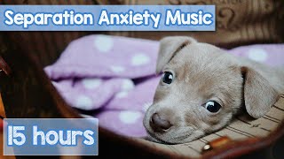 EXTRA-LONG Relaxing Music for Dogs! Anti-Anxiety Playlist!