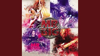 Temperamental (Live)