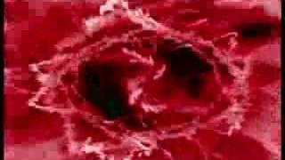 Alice DJ-Who needs guitars anyway (2000)