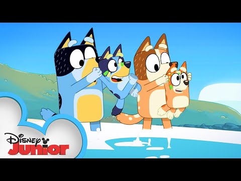 赤と白とブルーイ！？赤と白とブルーイ｜ディズニージュニア (Red, White, and Bluey! ??| Bluey | Disney Junior)
