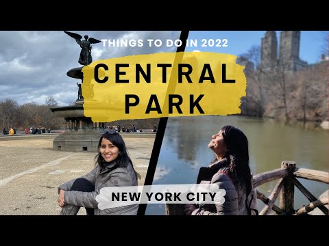 What are the best things to do in Central Park, NYC — and how much does it cost?