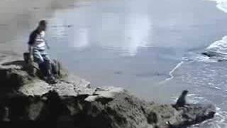 Souleye freestyle TC mix